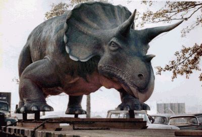 Triceratops