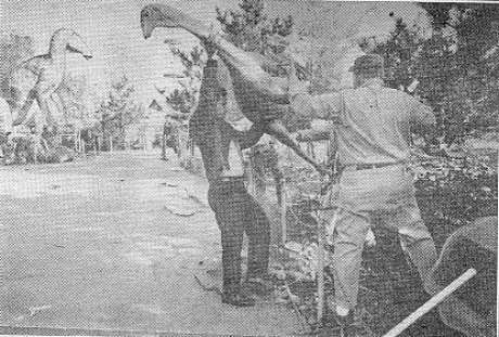 Workmen Remove Struthiomimus