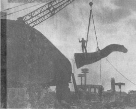 Workman Rides the Bronto Head