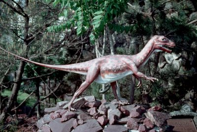 Ornitholestes