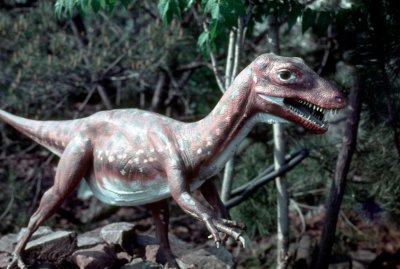 Ornitholestes