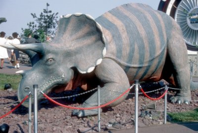 Triceratops